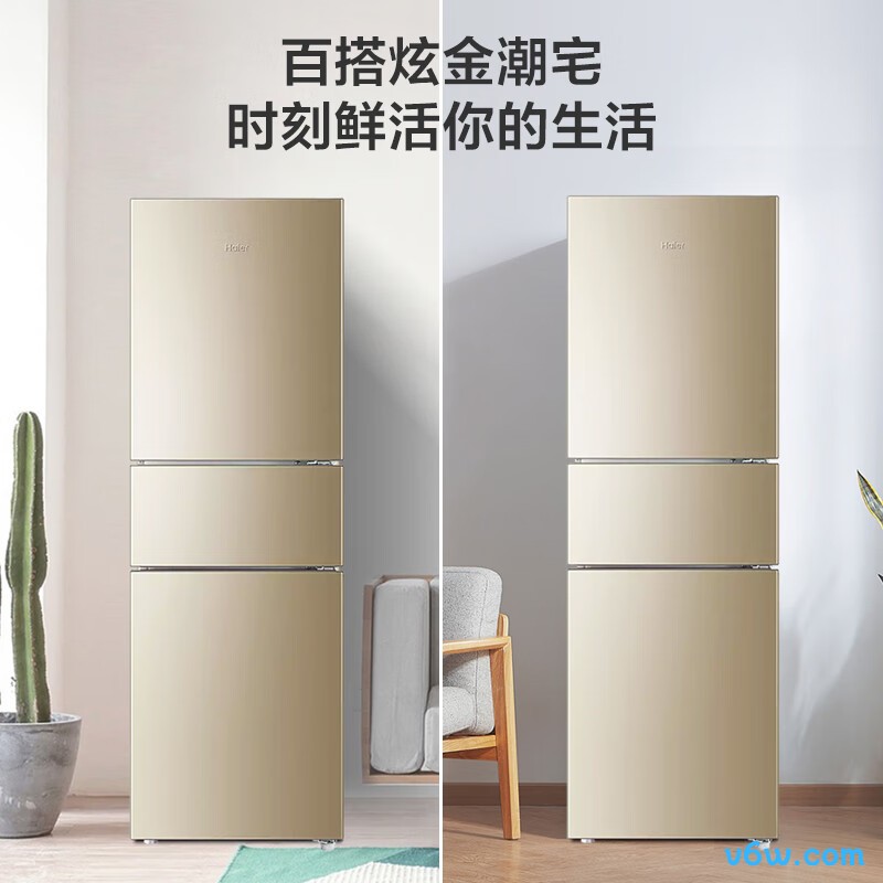 海尔216WMPT冰箱图片