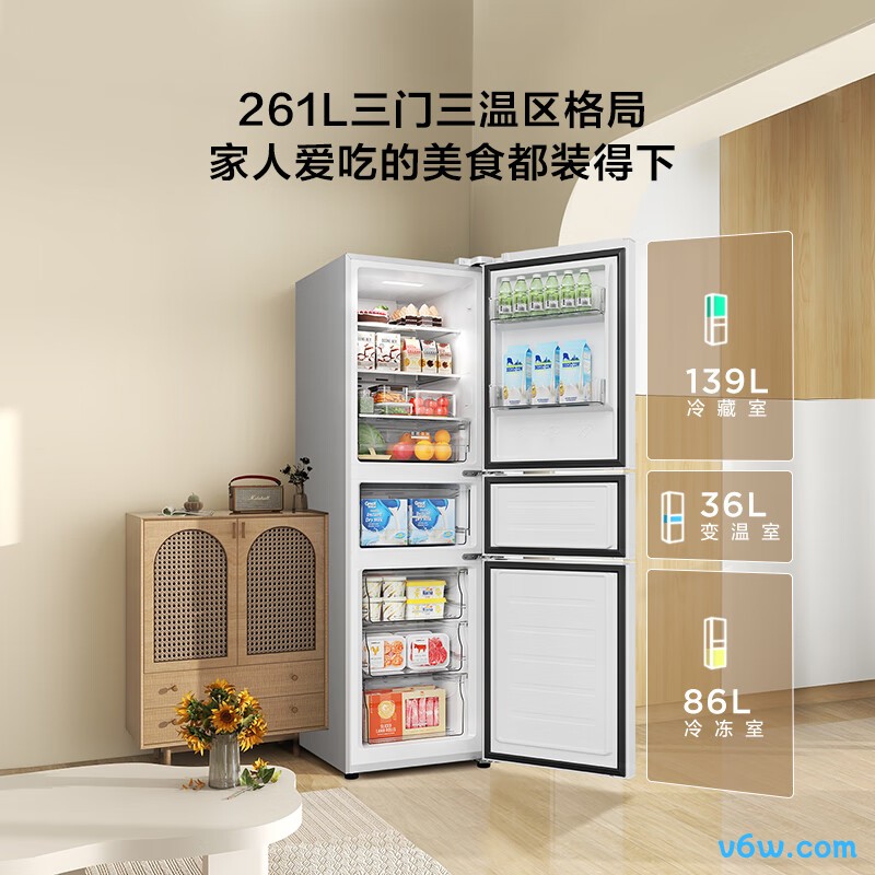 TCL-R261V3-C冰箱图片