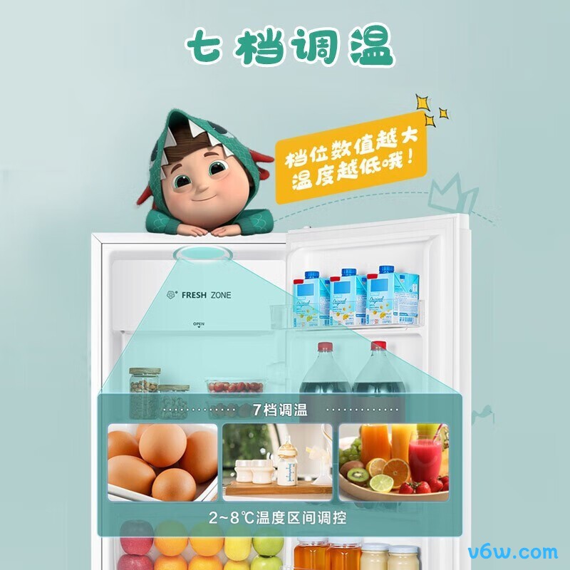 海信BC-95S/A冰箱图片