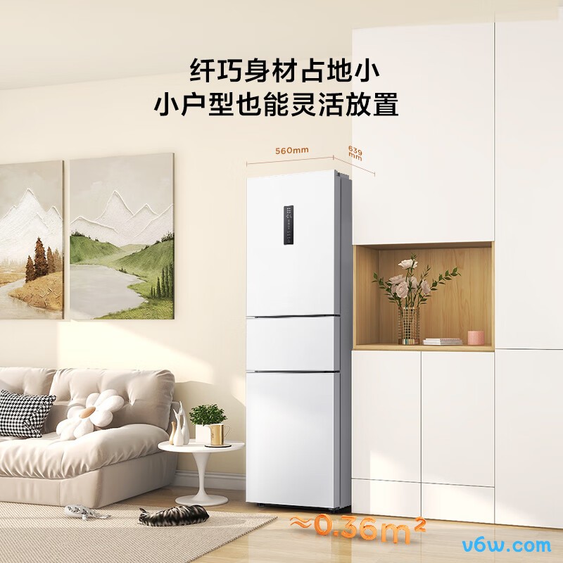 TCL-R261V3-C冰箱图片