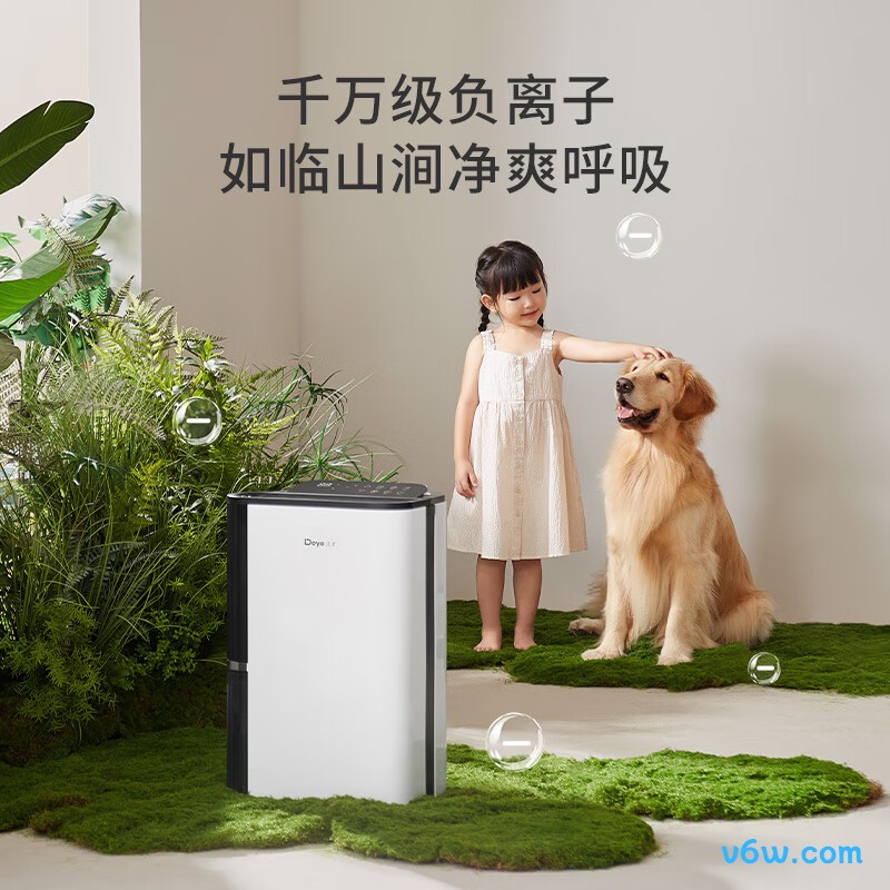 德业DYD-T22A3除湿机图片