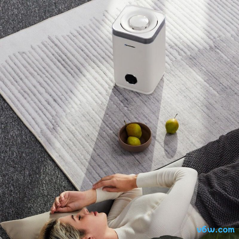 蓝宝BP-S10加湿器图片