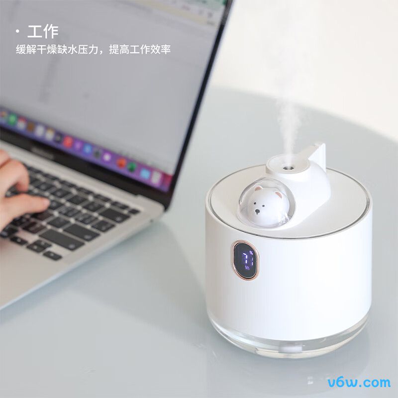 色果D11加湿器图片