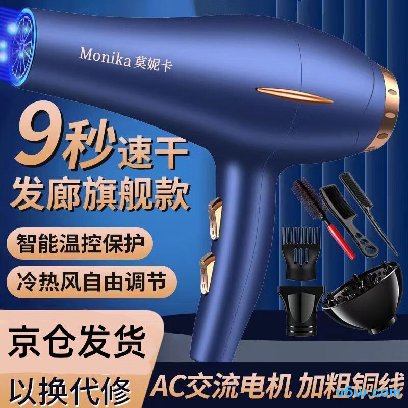 莫妮卡01电吹风图片