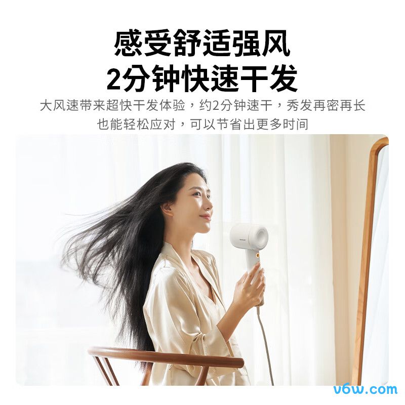 美的FD205电吹风