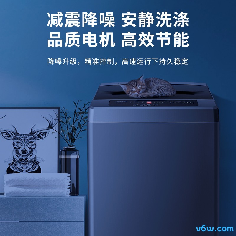 创维T100Q洗衣机图片