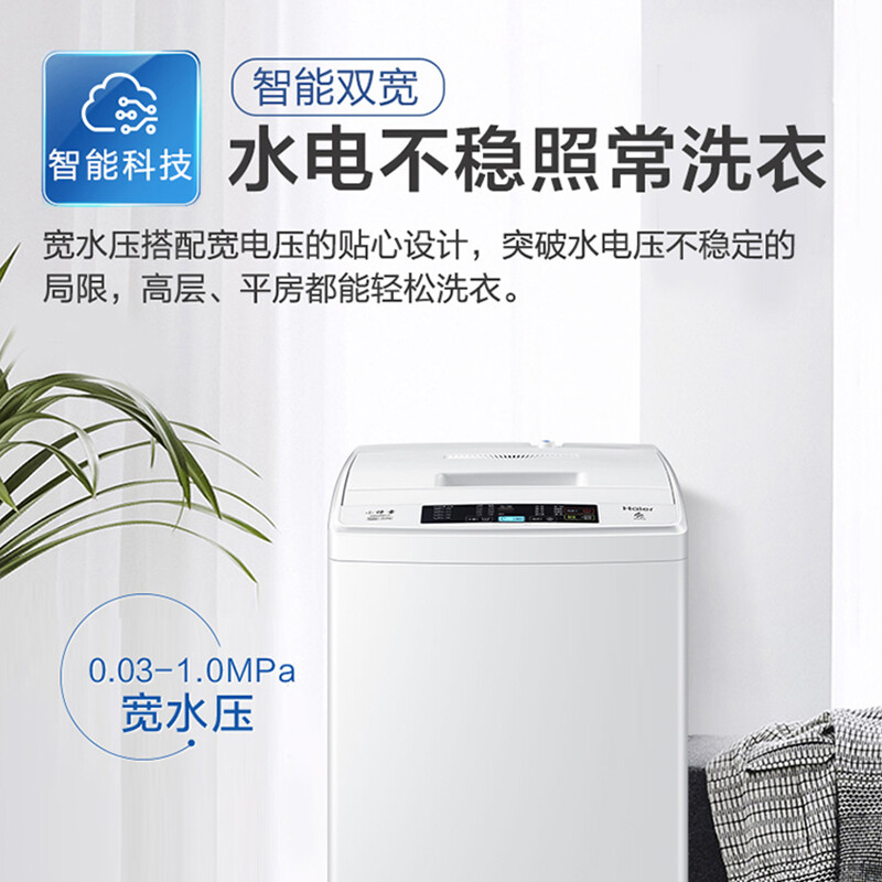 海尔EB65M019洗衣机图片