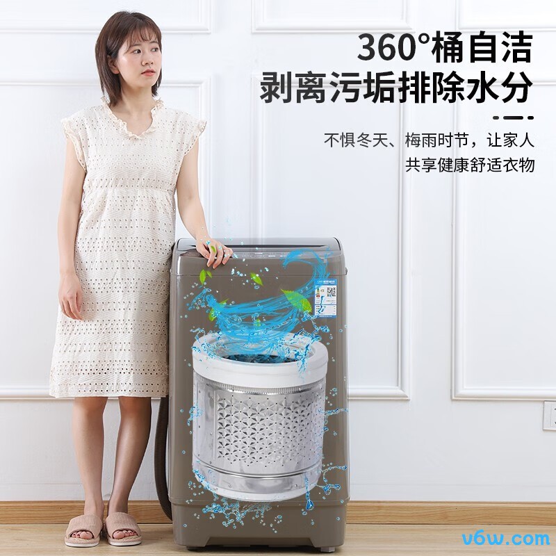 志高XQB65-818A洗衣机图片