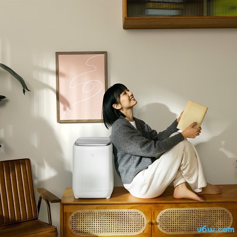 米家XHQB05MJ101W洗衣机图片