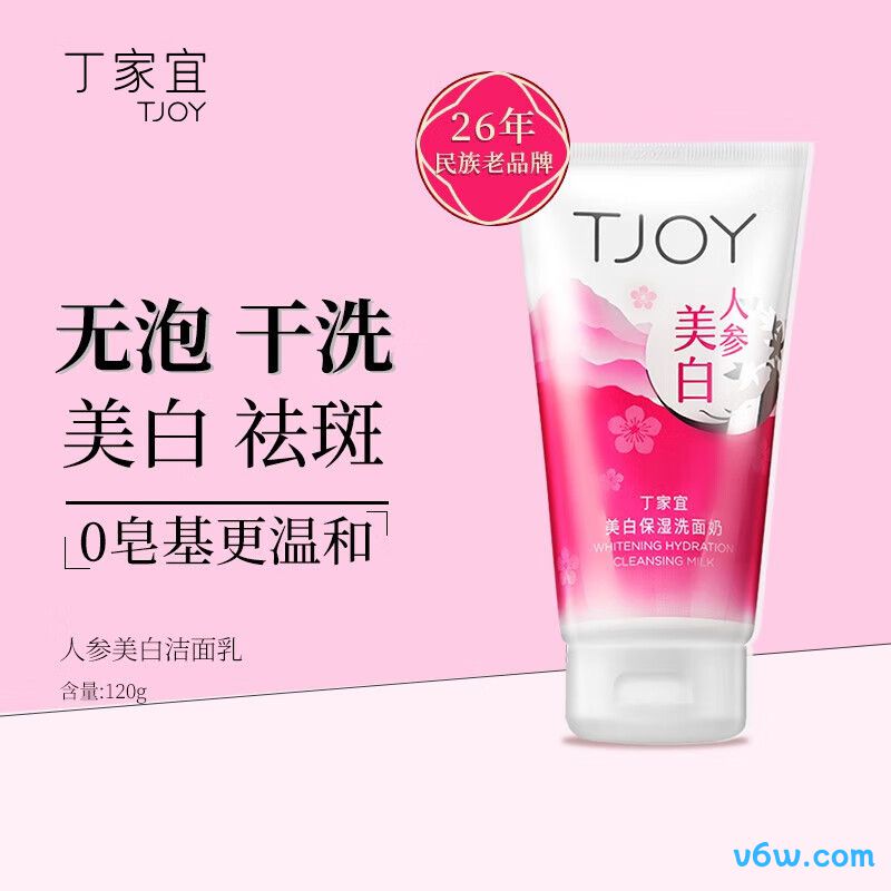 丁家宜