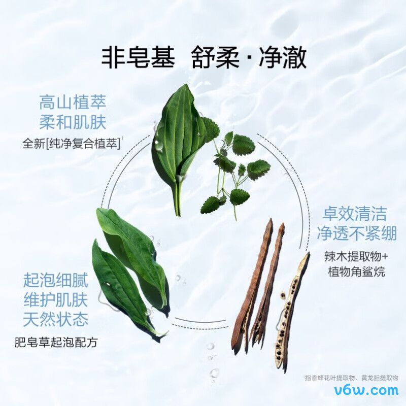 娇韵诗舒润泡沫