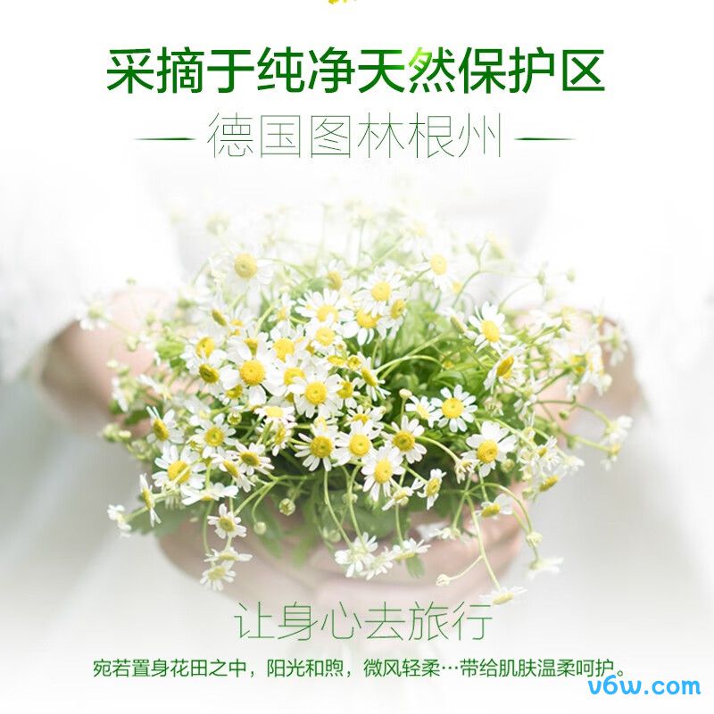 小甘菊润唇膏润唇膏图片