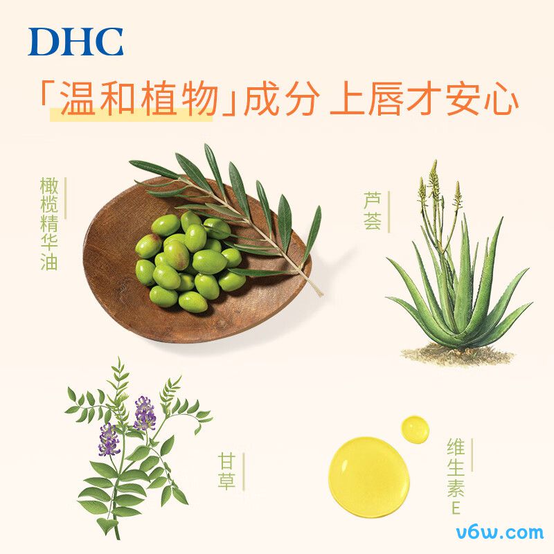 DHC橄榄护唇膏润唇膏图片