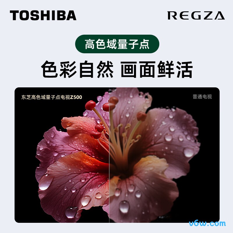 东芝65Z500MF平板电视图片