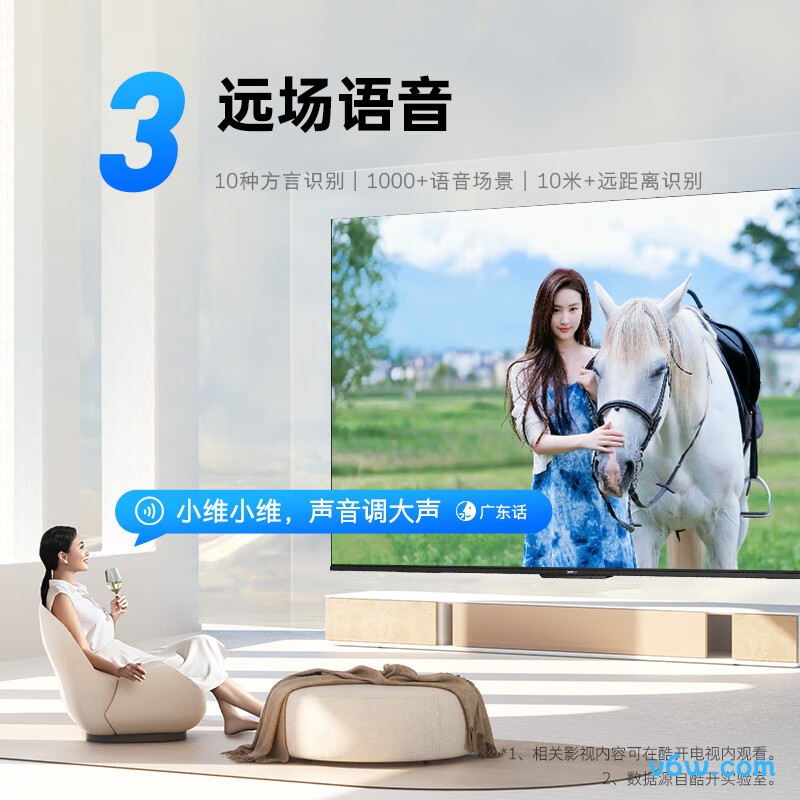 创维65P3D平板电视图片