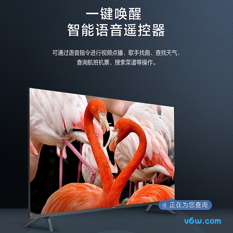 松下TH-65LX560C平板电视图片