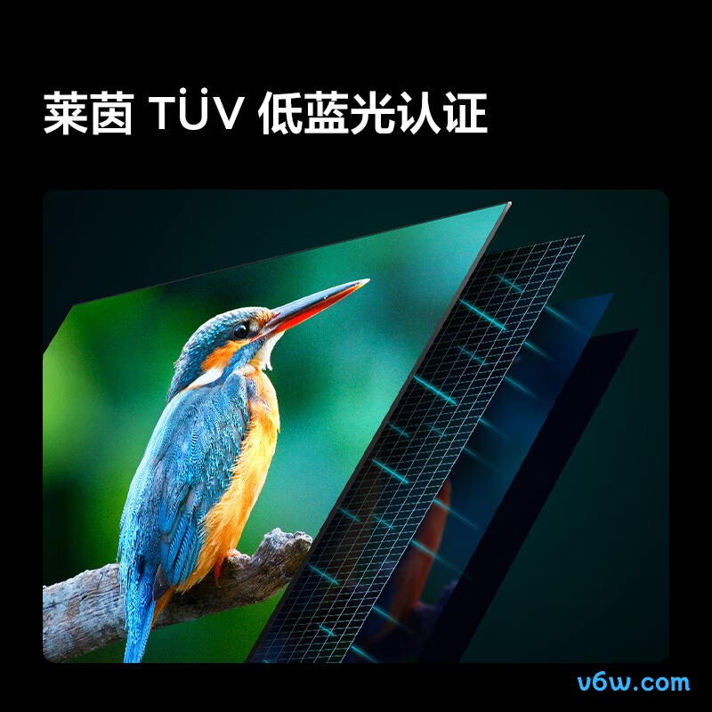 TCL-43F175C平板电视图片