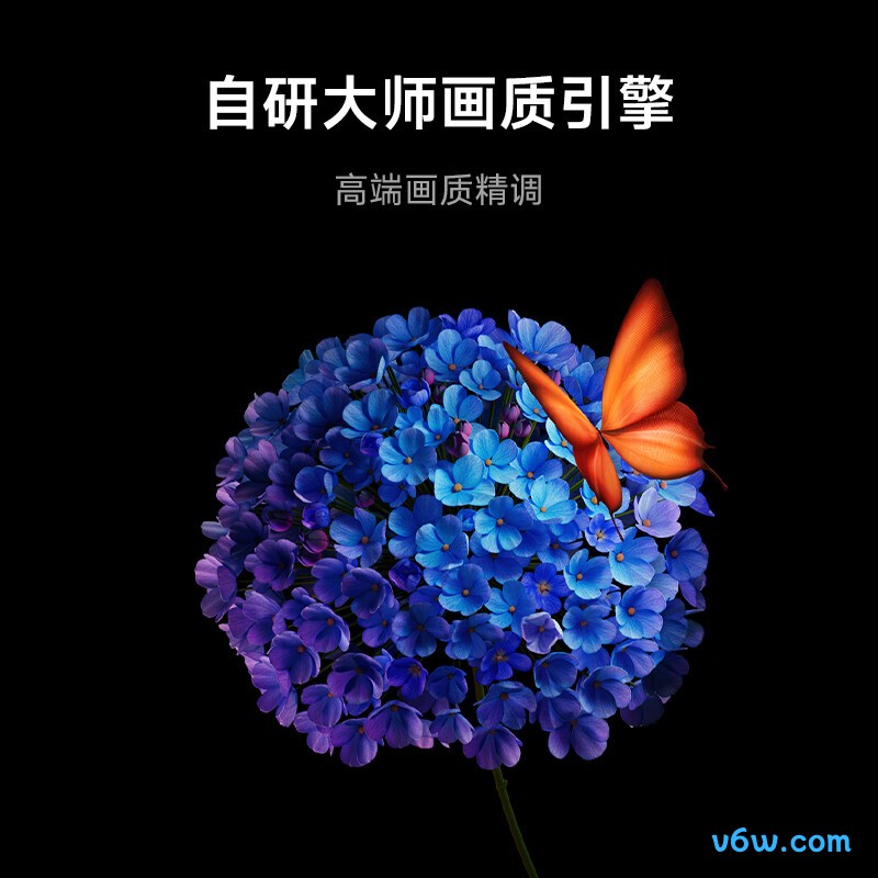 小米L65MA-SPL平板电视图片