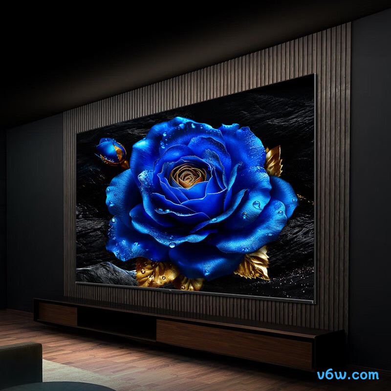 TCL-65T8H平板电视图片