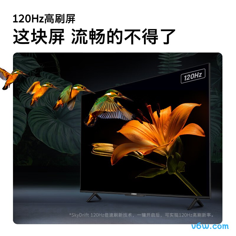 创维65P31 Max平板电视图片