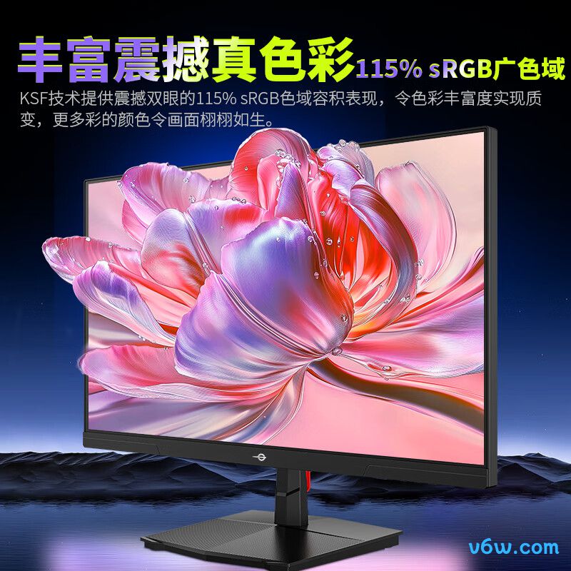 泰坦军团P2510H PLUS显示器图片