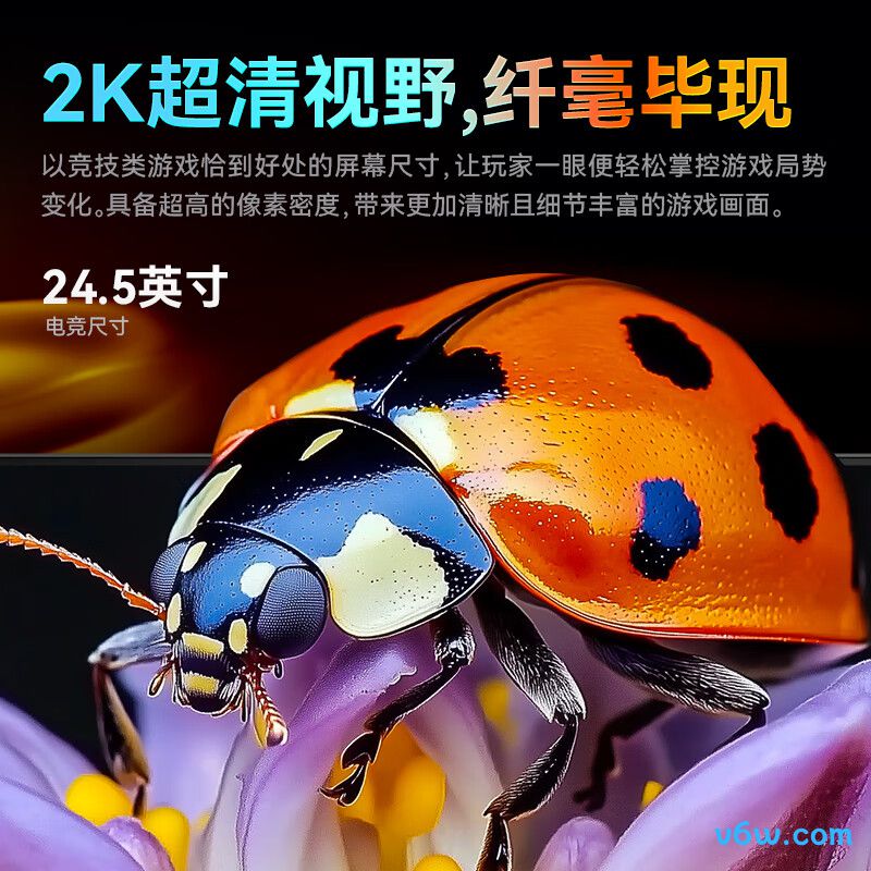 泰坦军团P2512S显示器图片