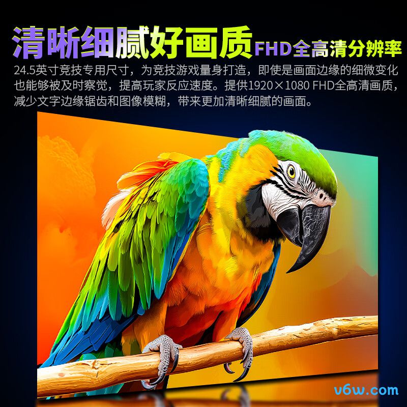 泰坦军团P2510H PLUS