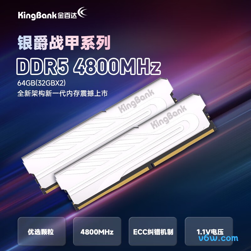 金百达64GB(32GBX2) DDR5 4800