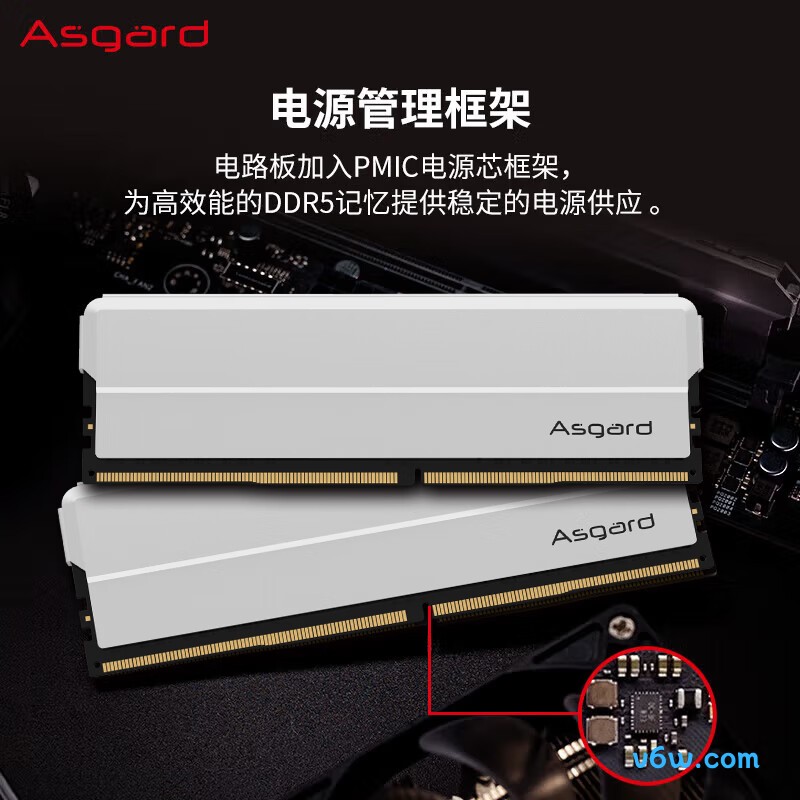 阿斯加特48GB(24GBx2) DDR5 5600内存条图片