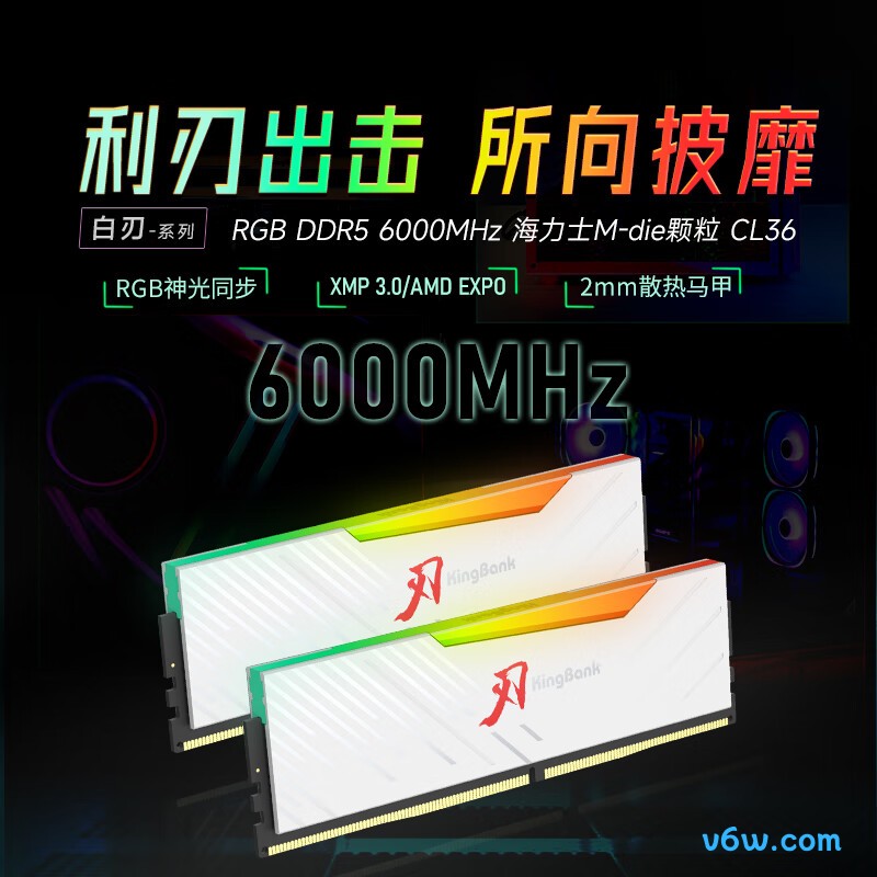 金百达96GB(48GBX2) DDR5 6000