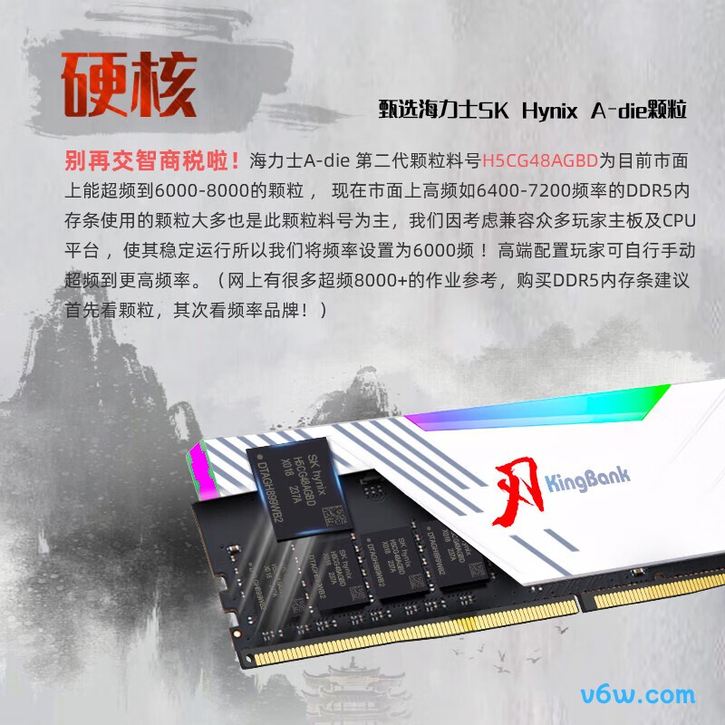 金百达64GB(32GBX2) DDR5 6400内存条图片
