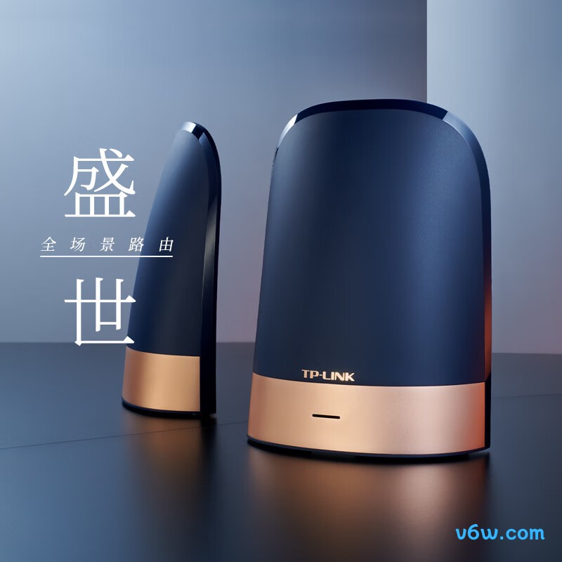 普联TL-XTR6690易展Turbo版路由器图片