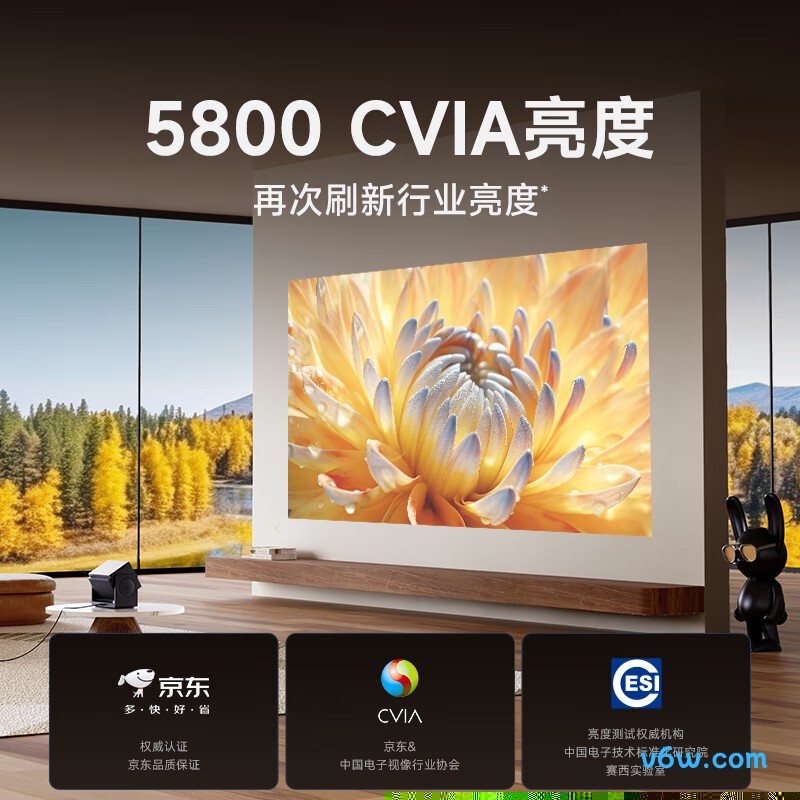 Rigal C2投影仪图片