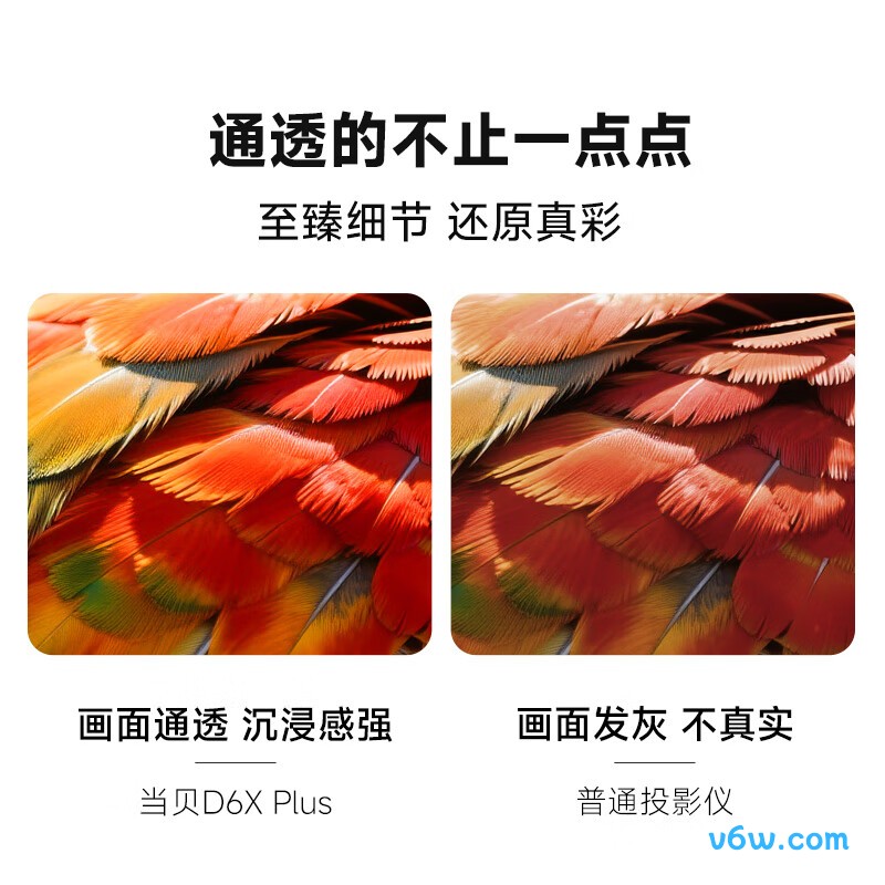 当贝DBD6X Plus投影仪图片