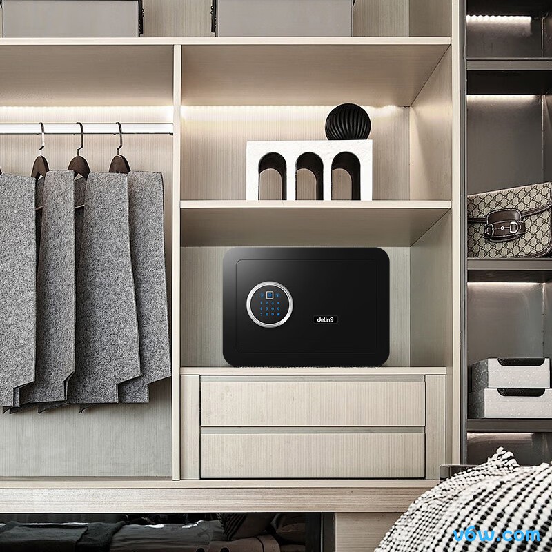 德凌联邦DE01-25Z保险柜图片