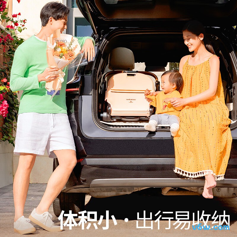 唯乐宝D900婴儿车图片