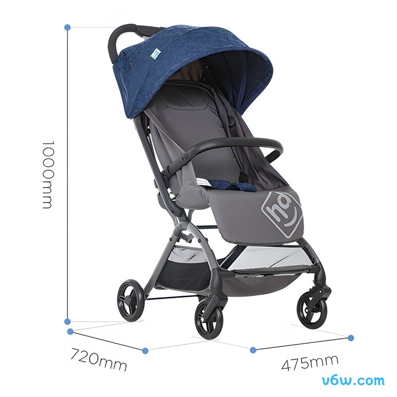 小龙哈彼LD650-L-V101L婴儿车图片