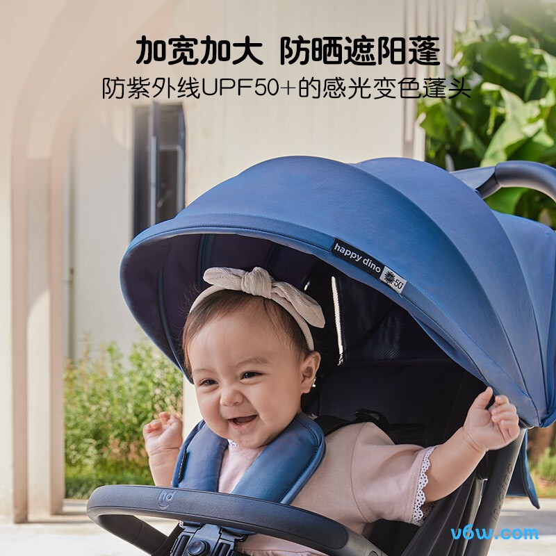 小龙哈彼LD650-A-K038B婴儿车图片