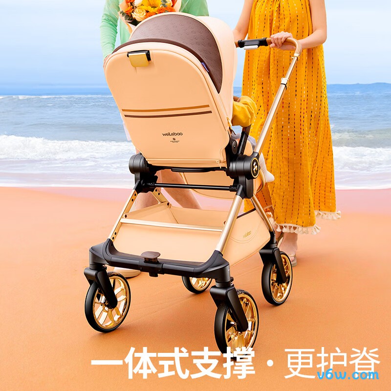唯乐宝D900婴儿车图片