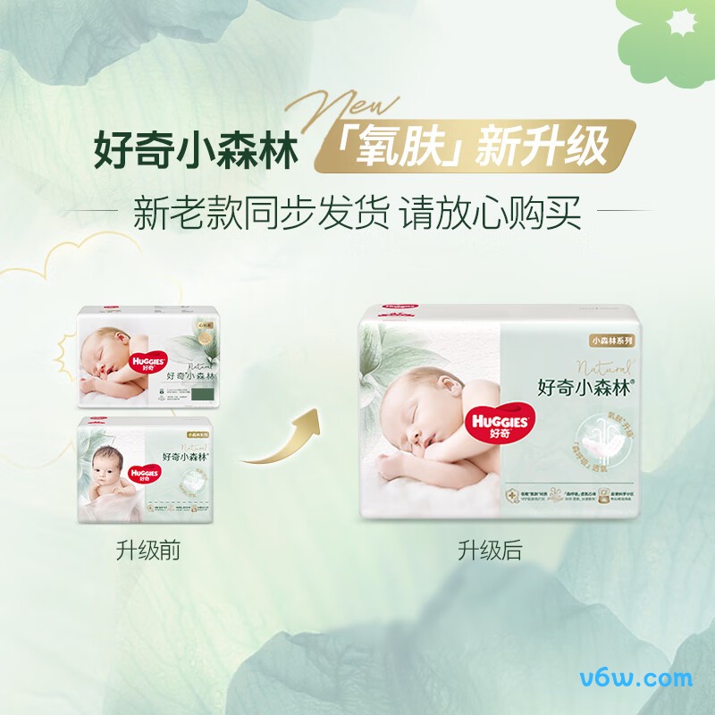 好奇心钻装小森林L码40片纸尿裤图片