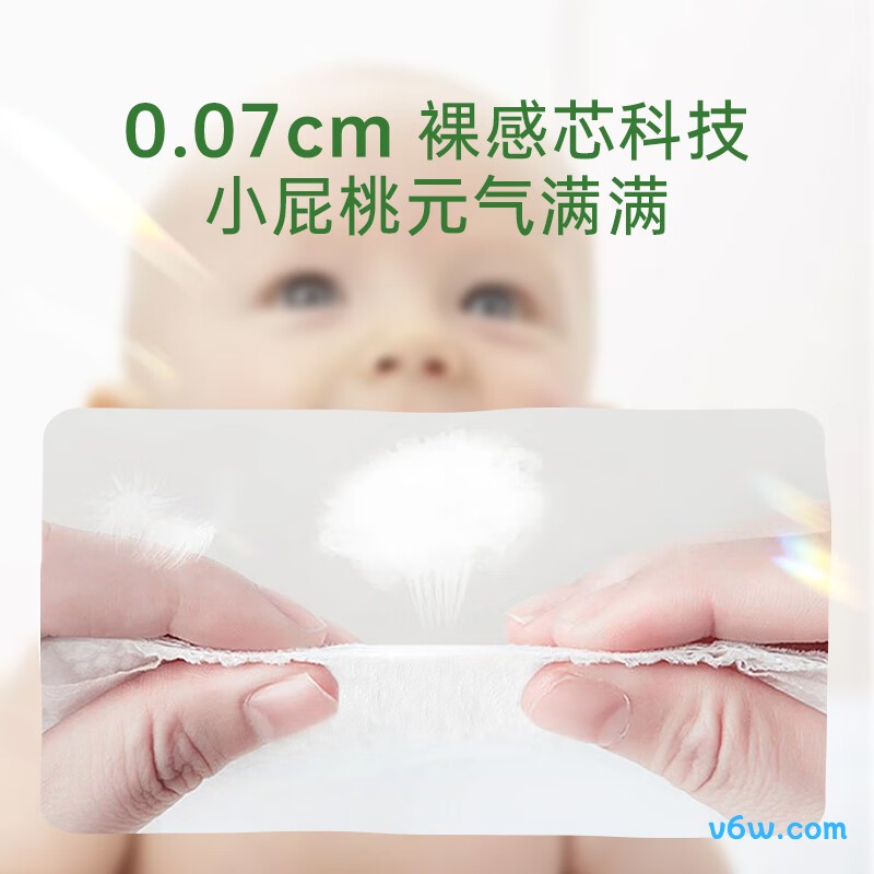 艾薇儿奇幻森林M码58片