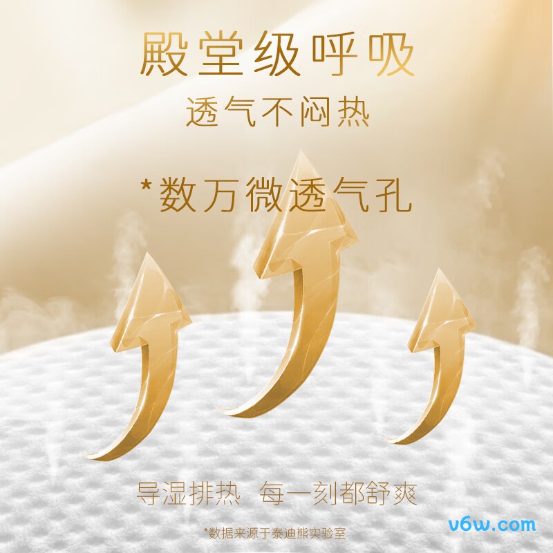 泰迪熊L码70片纸尿裤图片