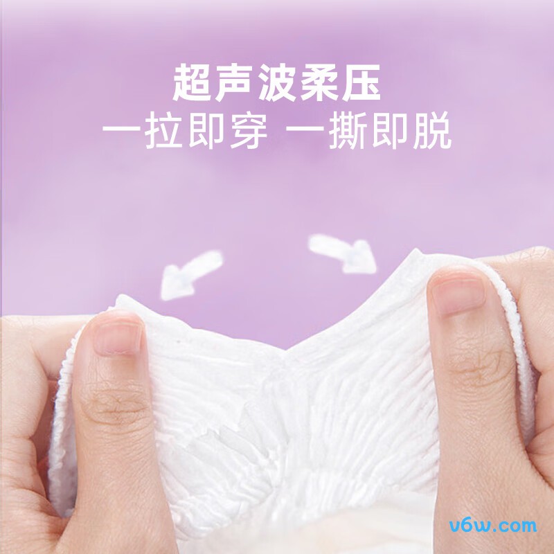 艾薇儿奇幻森林XL码42片