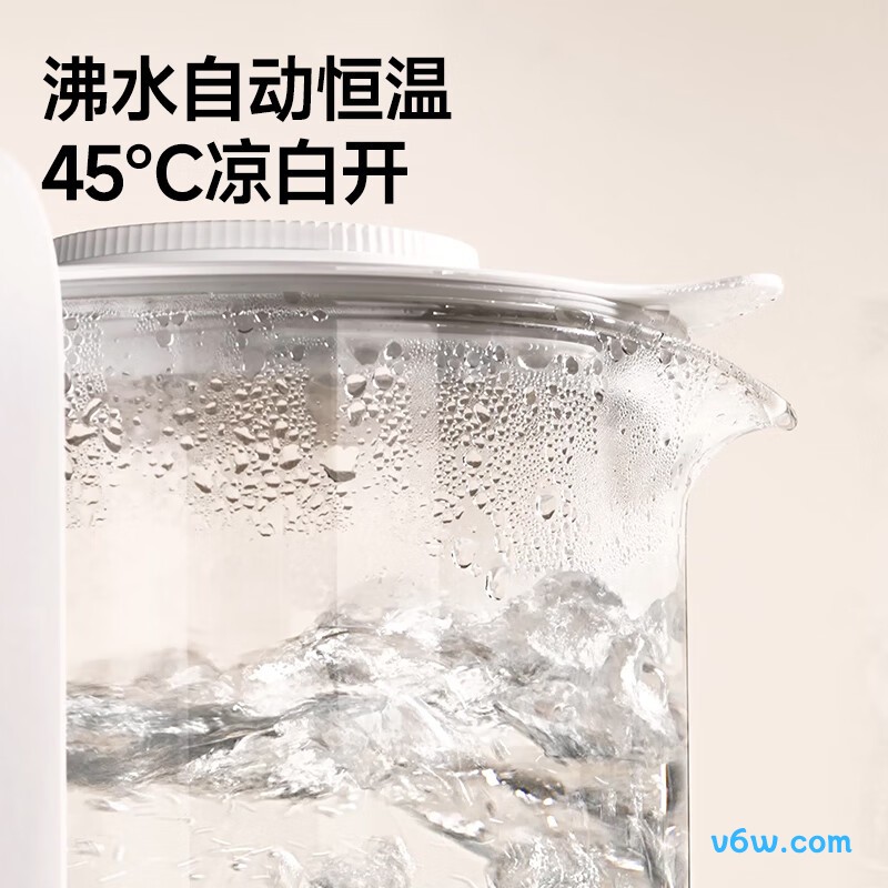 大嘴鸭 BD6279奶瓶消毒柜图片