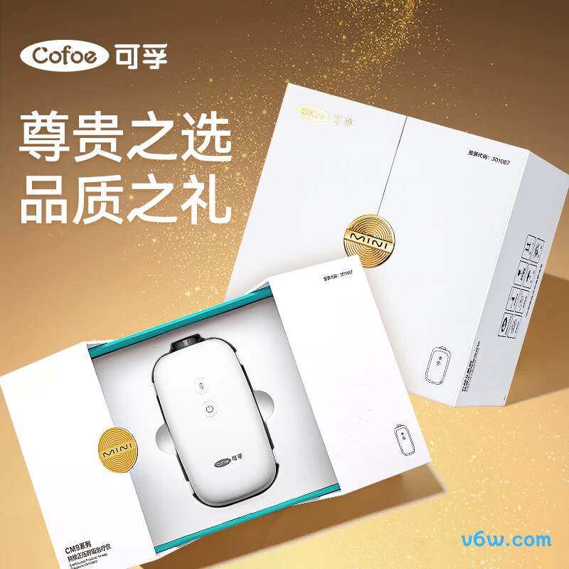 拓顺LC-APAPPro呼吸机图片