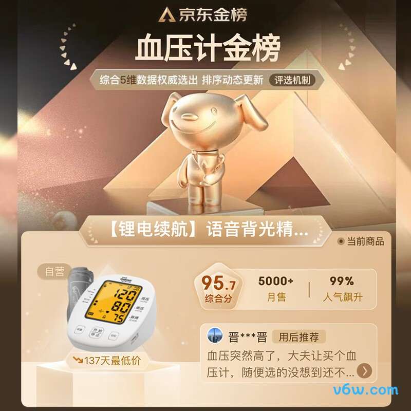 KANG HUA BSX509血压计图片