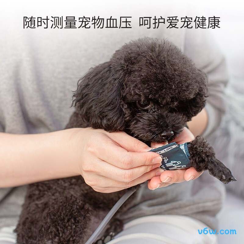 CONTEC康泰 08A-VET血压计图片