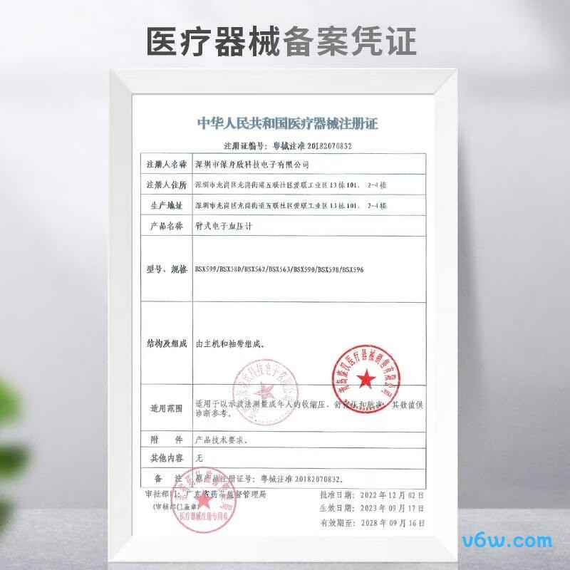 KANG HUA BSX509血压计图片