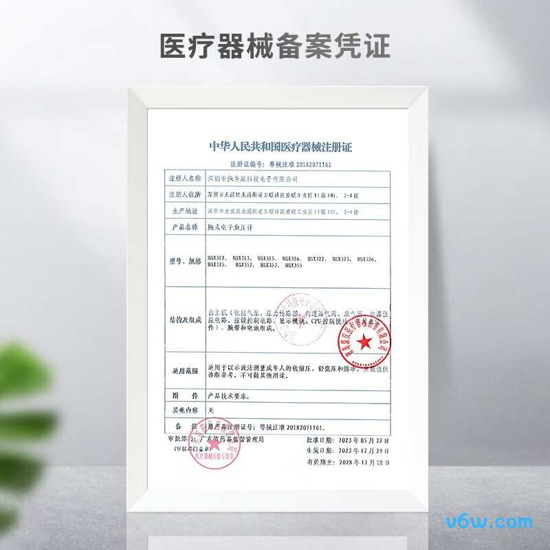 KANG HUA BSX313血压计图片