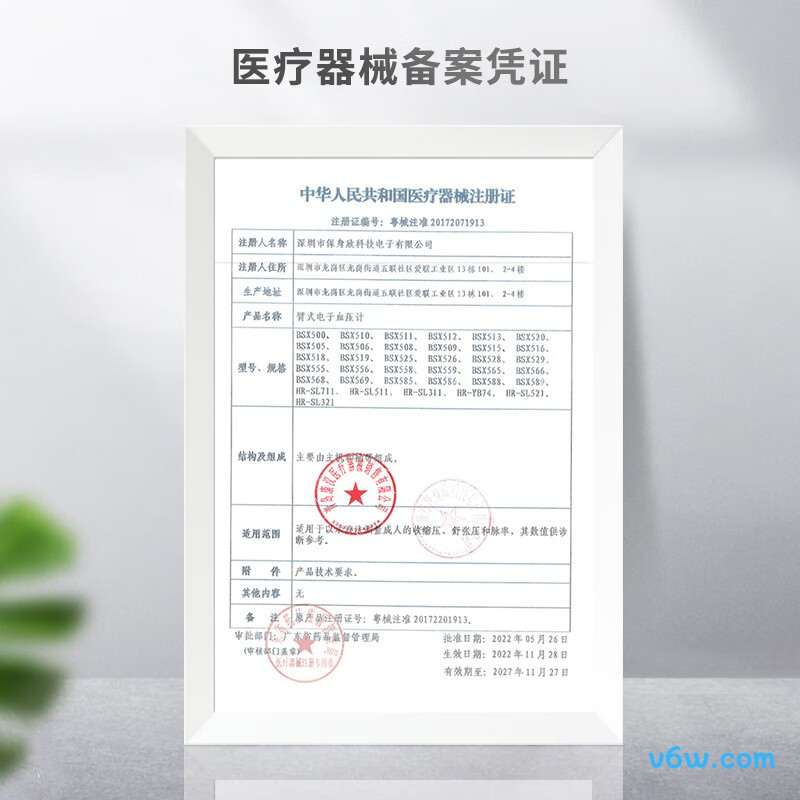 KANG HUA BSX513血压计图片